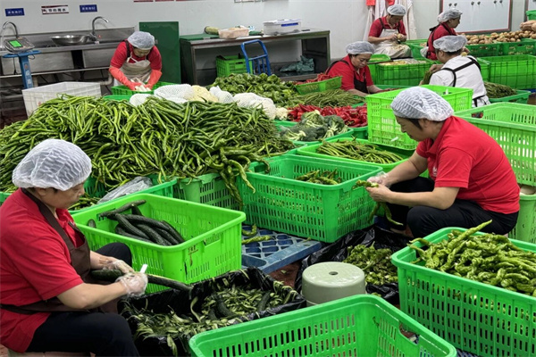 1764146583274674.jpg 微信图片_20251126162343_副本.jpg