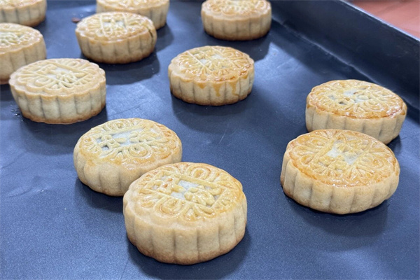 1764147497394782.jpg 微信图片_20251126165259_副本.jpg