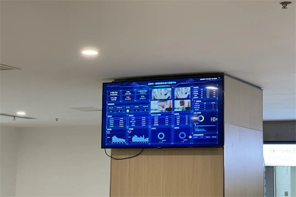 1764830754828366.jpg 10.jpg